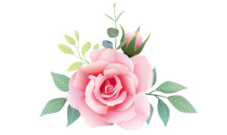 وکتور گل طرح 3